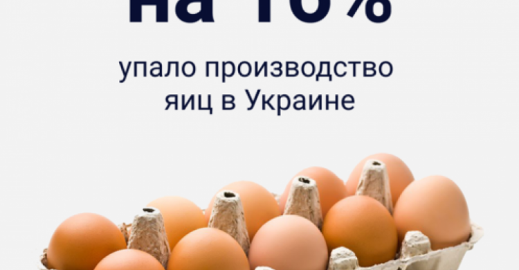 В Украине становится все меньше яиц: какая цена станет для авдеевцев
