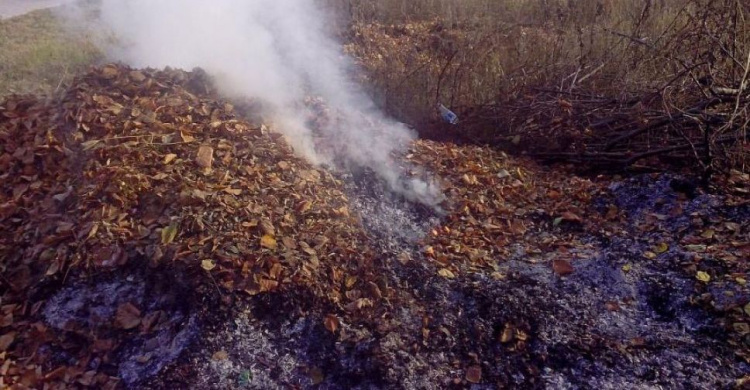 В Авдеевке усилен контроль за случаями сжигания растительности 