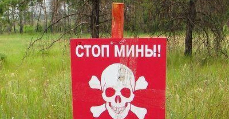 Опасность "замедленного действия": в Донецкой области ликвидированы 6 взрывоопасных предметов