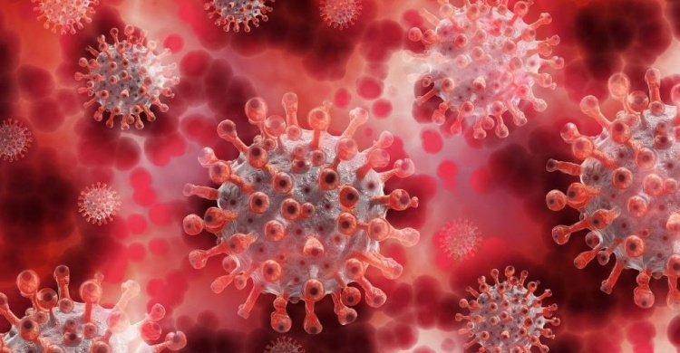 Уровень смертности в мире от коронавируса снизился на 30% с начала эпидемии