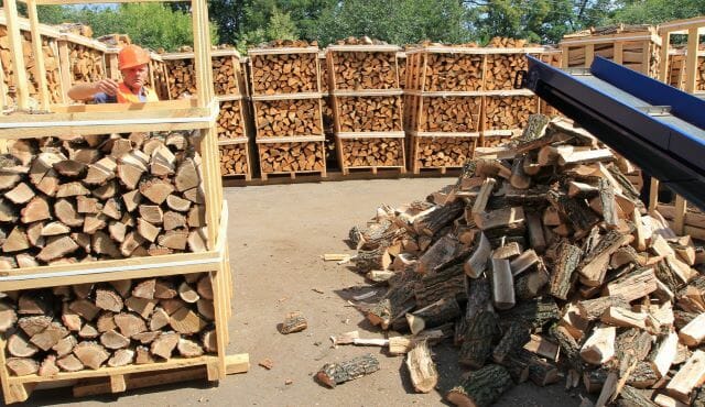 Мешканці Донеччини отримають безкоштовні дрова для обігріву: хто може розраховувати на допомогу влади