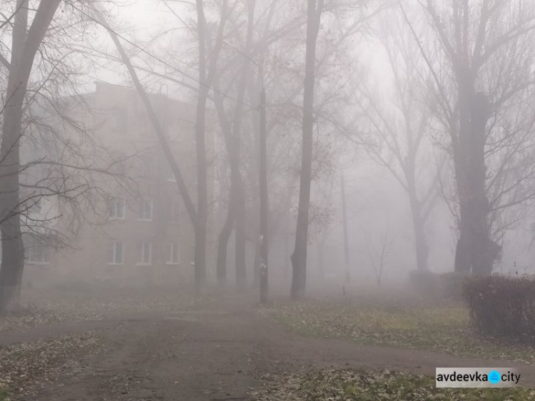 Авдеевка в плену тумана (ФОТОФАКТ)