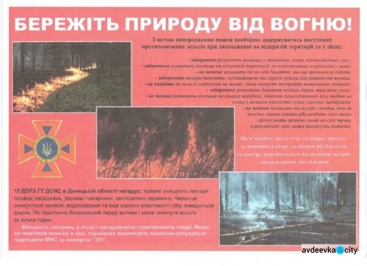 Огонь охватил Авдеевку и не только (ФОТО)