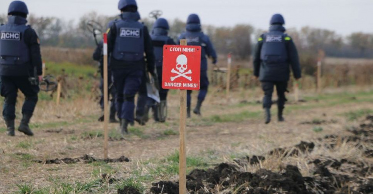 В Донецкой области сражаются с взрывоопасными угрозами (ФОТО)
