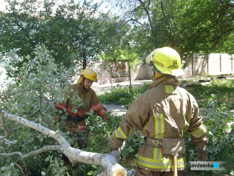 Удар стихии: на Донбассе сражались с поваленными деревьями