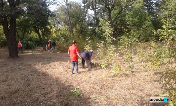 Коммунальщики в "чистый четверг" чистили от поросли парк возле четвертой школы