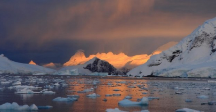 В Антарктиде зафиксирована самая высокая температура в истории