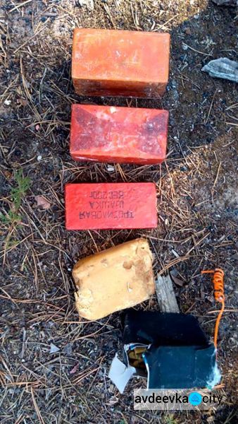 На заброшенной базе отдыха в Донецкой области найден крупный взрывоопасный тайник (ФОТО)