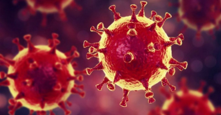В Украине рекордное количество заразившихся коронавирусом