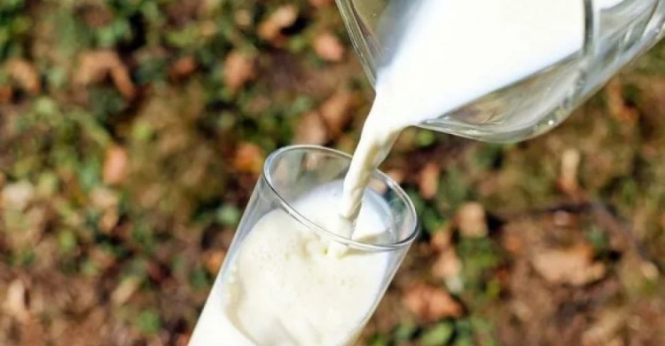 Ученые сказали, какая польза от стакана молока в день