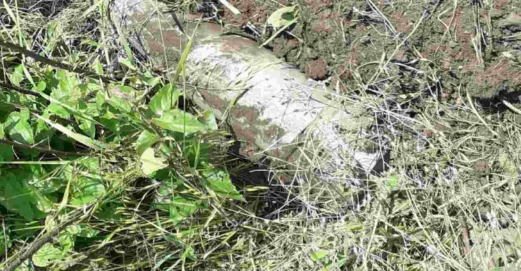 В Авдеевке пиротехники обезвредили головную  часть ракеты ЗРК "ОСА"  калибром 258 мм