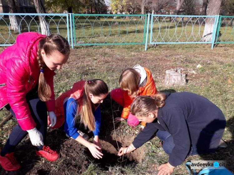 В Авдеевке появился «школьный сад» (ФОТО)