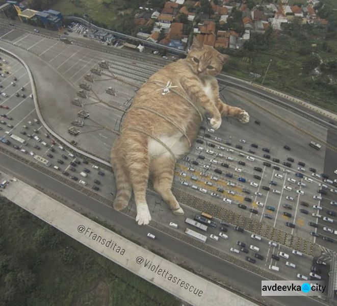 Котзилла! Индонезийский художник вписывает огромных кошек в городские пейзажи (ФОТО)