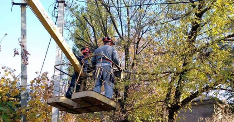 Аварийные ветки - долой: коммунальщики Авдеевки расчищают электросети (ФОТО)