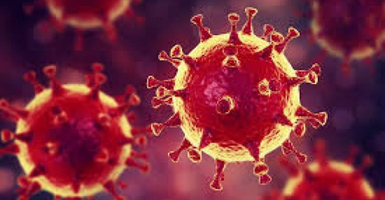 Число заболевших коронавирусом за сутки падает