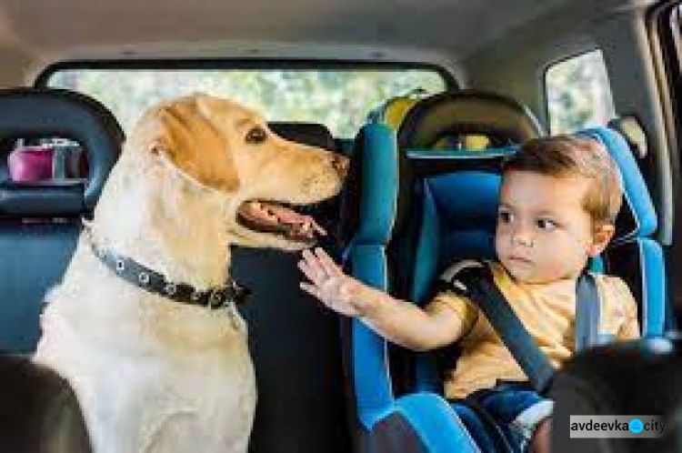 Поліція нагадує авдіївцям: не залишайте в машині у спеку дітей та тварин 