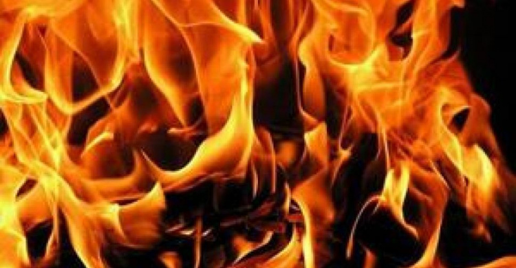 В Донецкой области за сутки погасили семь пожаров