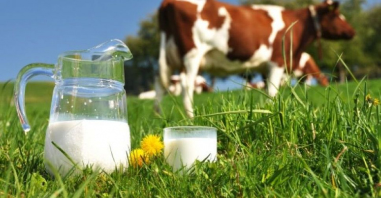 На Донетчине стали производить меньше молока