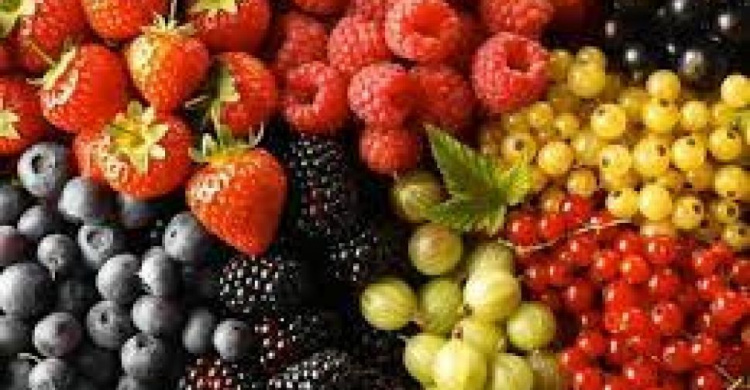 Какие фрукты и ягоды будут в дефиците на прилавках Авдеевки
