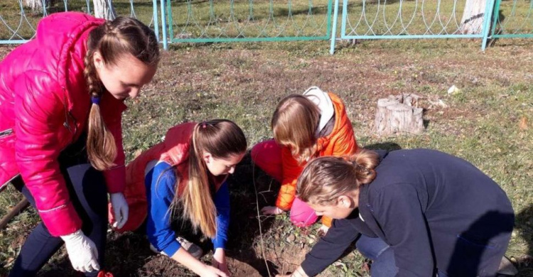 В Авдеевке появился «школьный сад» (ФОТО)