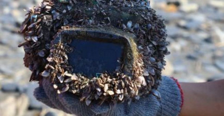 Утерянный в море фотоаппарат за два года проплыл 250 километров и остался цел (ФОТО+ВИДЕО)