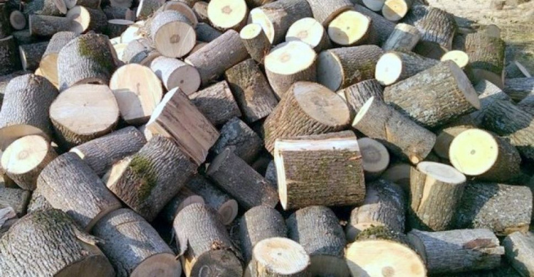 В Авдеевке льготные категории граждан могут бесплатно получить дрова