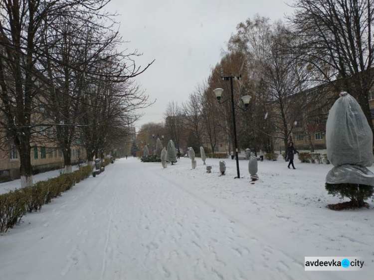 В Авдеевке спасают деревья от морозов (ФОТОФАКТ)