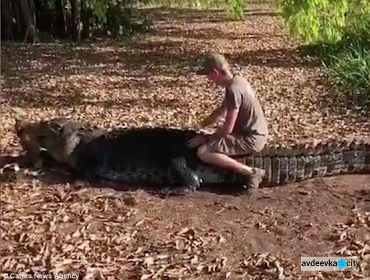 Биолог оседлал огромного крокодила для селфи (ФОТО+ВИДЕО)