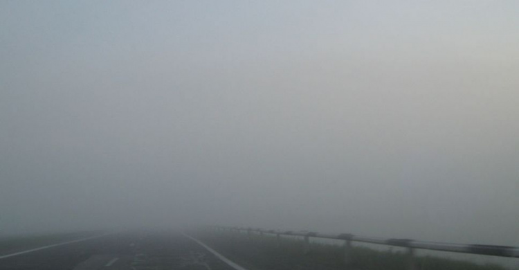 Полиция предупреждает водителей на Донетчине о сильном тумане и низкой видимости