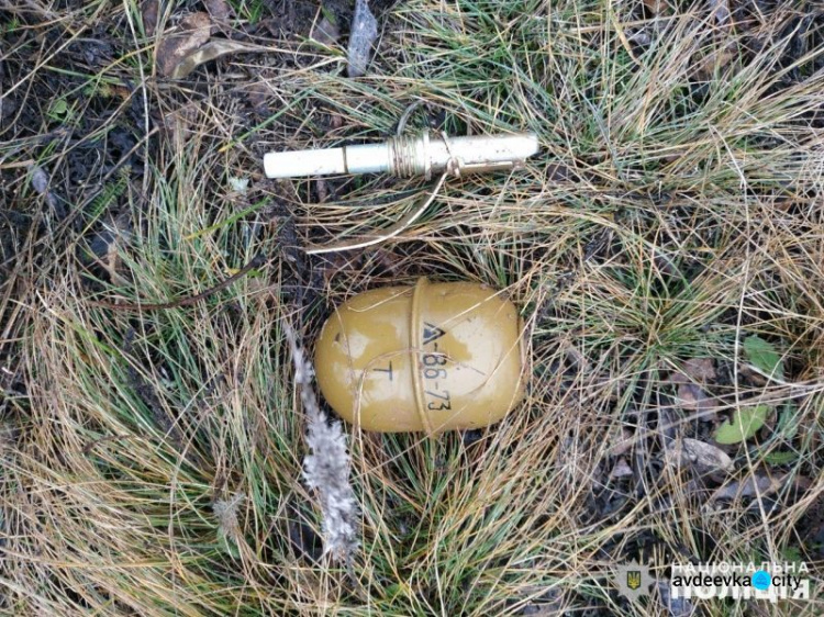 В Красногоровке мужчина хранил гранату на могиле своего брата