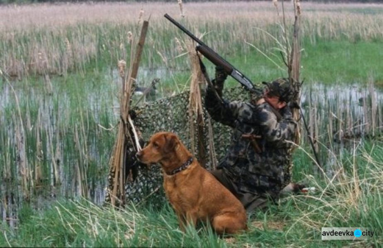 В Донецкой области сезон охоты стартовал с территориальным ограничением