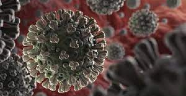 Американские и канадские ученые выяснили, как коронавирус атакует мозг человека в обход иммунитета