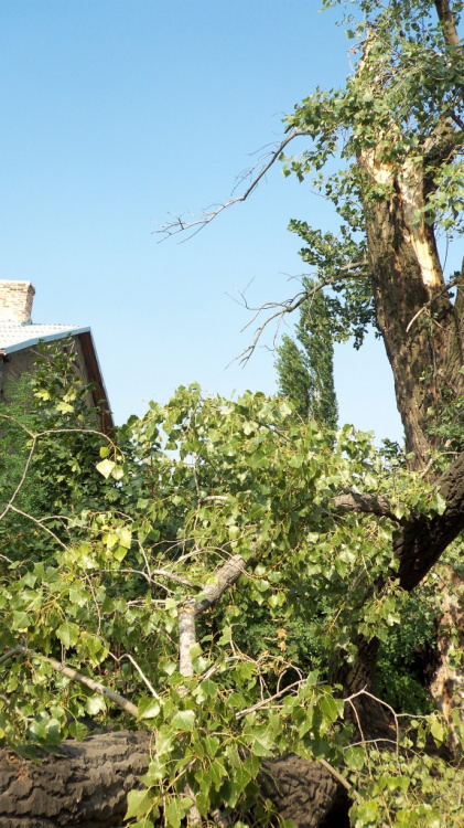 Штормовой  ветер повредил балконы жилого дома и оборвал электролинии (ФОТО)
