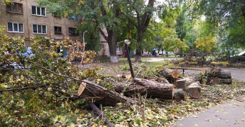 В Авдеевке продолжают спил аварийных деревьев (ФОТОФАКТ)