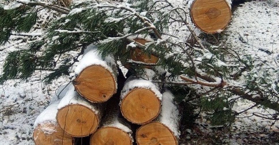 Авдіївські поліцейські затримали 