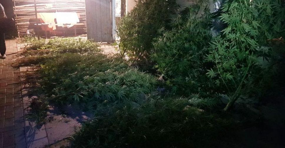 В Донецкой области изъяли наркотики на полмиллиона гривен