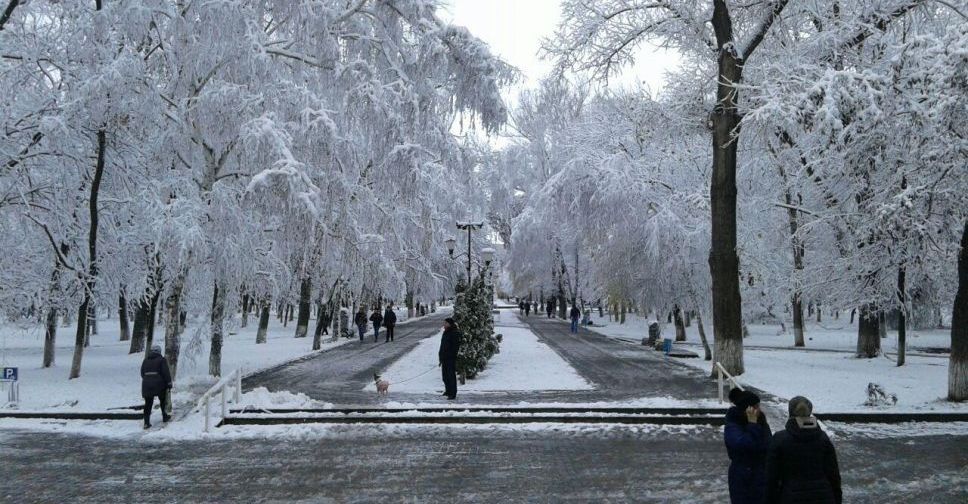 В Авдеевку пришла сказочная зима (ФОТОФАКТ)