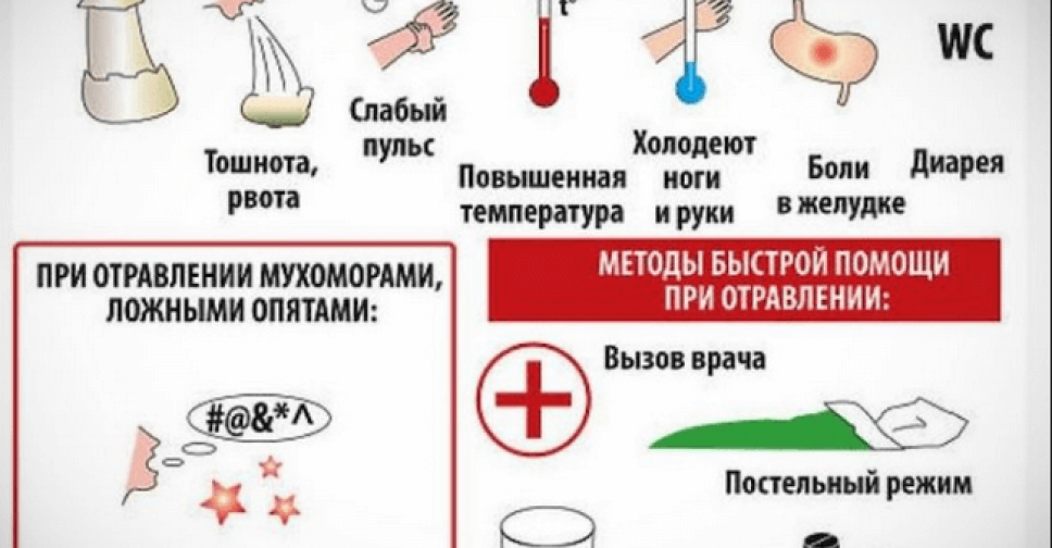 Отравление грибами. Симптомы и первая помощь