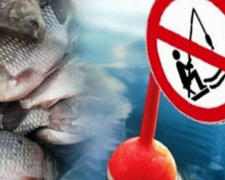 На Донеччині з 1 листопада обмежать вилов риби: порушників штрафуватимуть