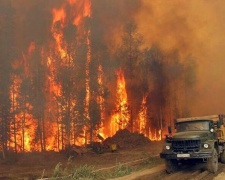 Пожары в Сибири достигли национального масштаба