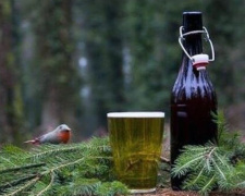 В Нидерландах из новогодних елок варят пиво