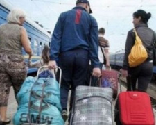 43% вернувшихся украинских заробитчан не планируют снова выезжать за границу