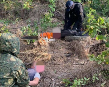 Ущерб на 2 миллиона гривен: группа &quot;черных лесорубов&quot;  задержана в Донецкой области