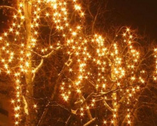 В Авдеевке объявили охоту на вандалов, испортивших  новогоднее освещение городского бульвара