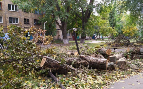 В Авдеевке продолжают спил аварийных деревьев (ФОТОФАКТ)