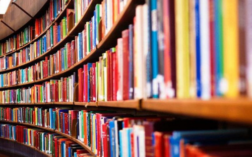 В Киеве собрали несколько сотен украинских книг для прифронтовой Авдеевки