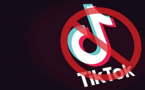 Авдеевцев призывают подписать петиции о закрытии TikTok