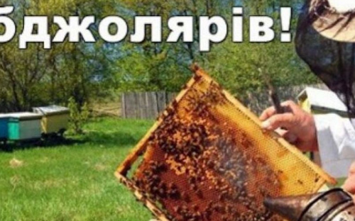 Авдіївськи пасічники можуть отримати дотацію за бджолосім'ї