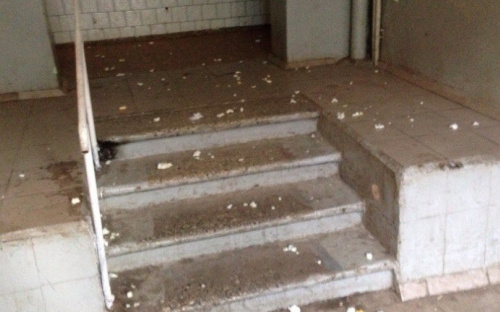 Авдеевцы возмущены свинством земляков (ФОТОФАКТ)