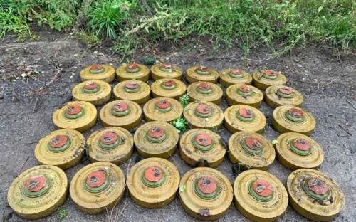 Піротехніки ДСНС размінують Донеччину: зараз працюють в Покровському районі